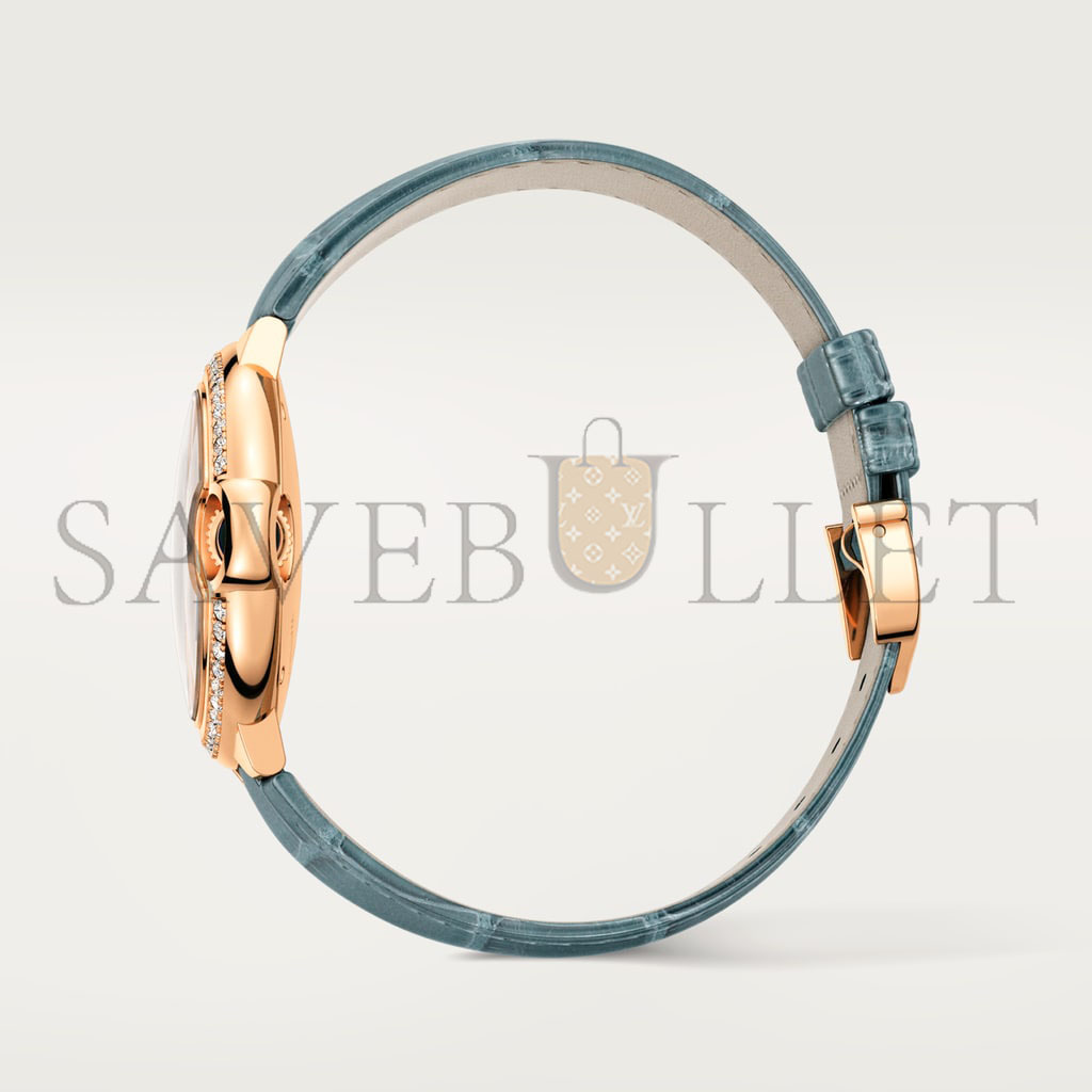 Ca*t*er ballon bleu de Ca*t*er watch wjbb0076