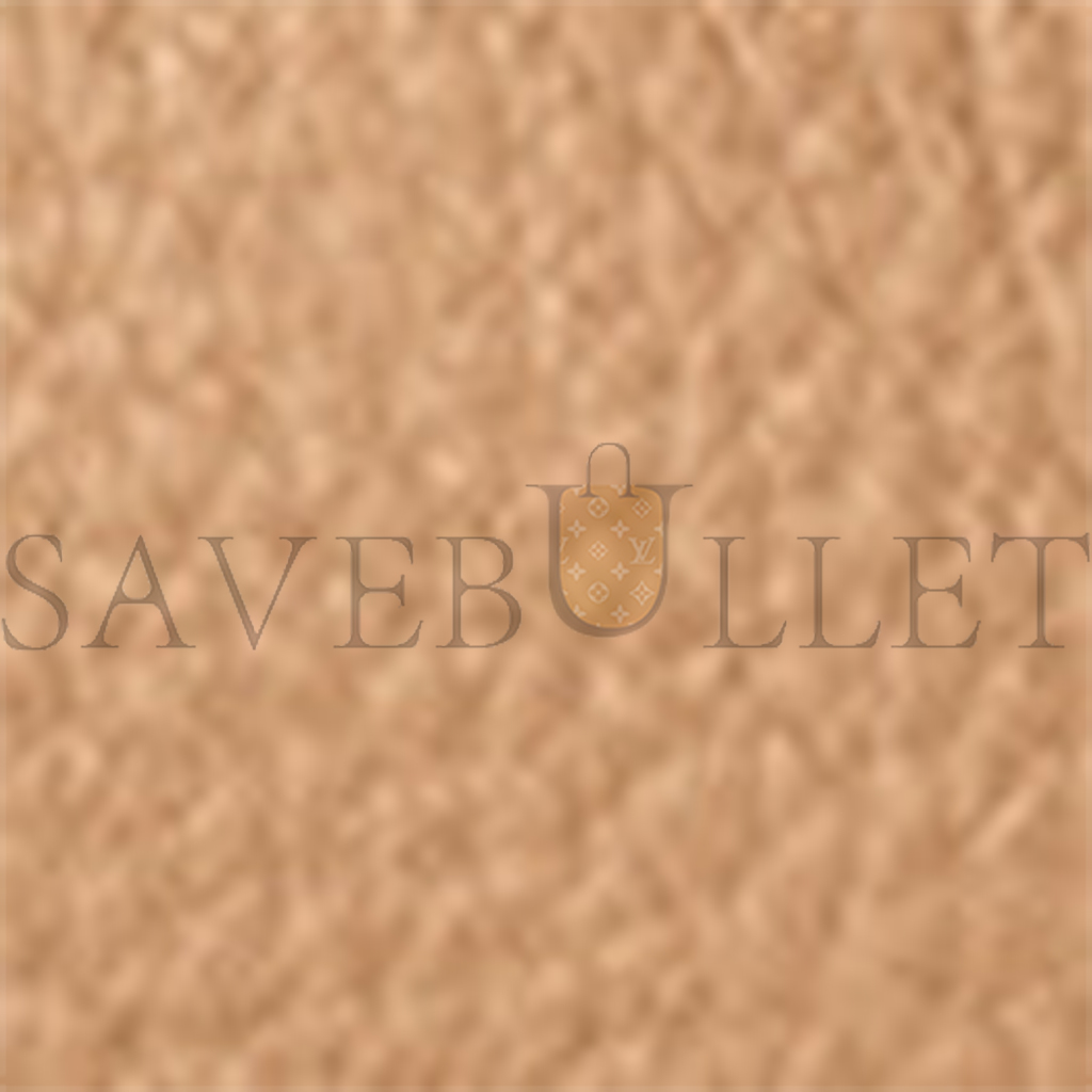 T*e R*w small park tote bag in leather cinnamon w1199l129cmons (25*22*12cm)