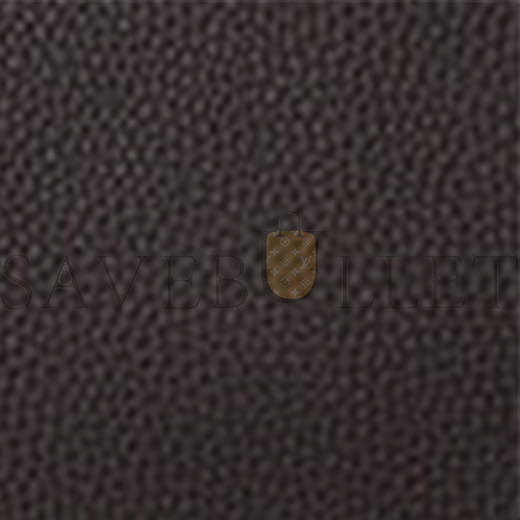 T*e R*w india 12.00 bag in leather dark brown w1595l23dbp (30*30*24cm)